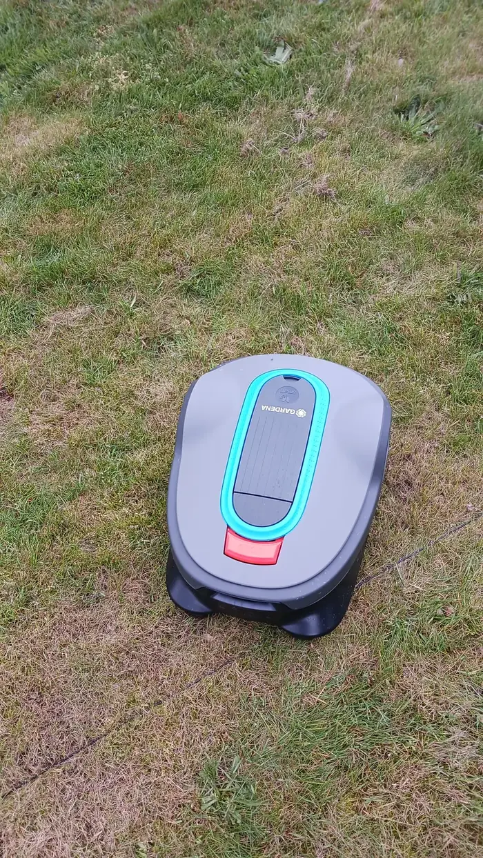 Mähroboter Robbie auf dem Rasen